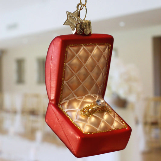 kerstbal verloofd ring aanzoek trouwen verloving